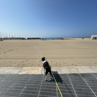 España dia 1: llegada y primeras horas
