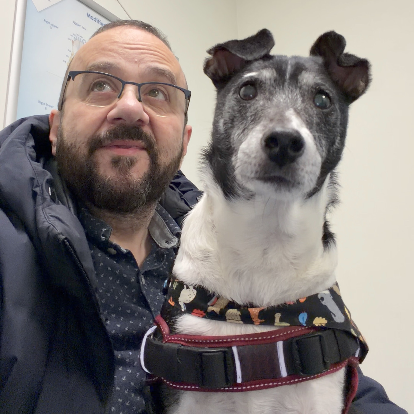 La legislació sueca sobre animals i l’operació d’en Rico