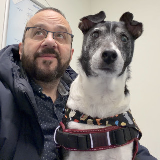 La legislació sueca sobre animals i l’operació d’en Rico